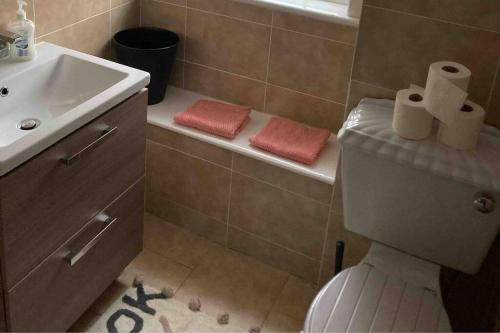 a bathroom with a toilet and a sink at Monthly/ weekly discounts, lovey apartment! in Clydebank