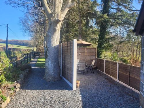 a backyard with a tree and a fence at The Granary in Llanddeiniol