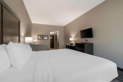 a large white bed in a hotel room at Comfort Inn & Suites Near Medical Center in San Antonio