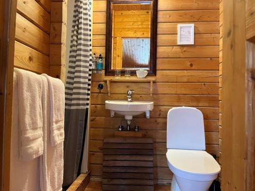La salle de bains est pourvue de toilettes et d'un lavabo. dans l'établissement Farmhotel Efstidalur, à Laugarvatn