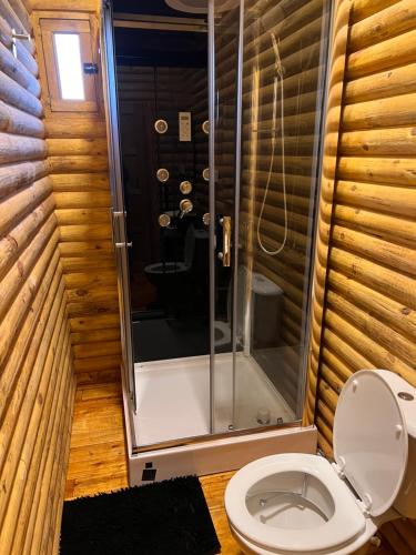 a bathroom with a shower and a toilet at Cabañas Puesta del Sol in Las Flores