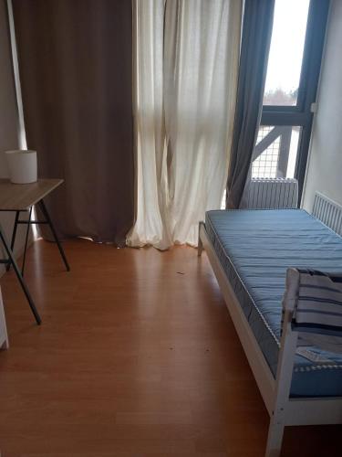 DisneyLand Hostel – Photos 3