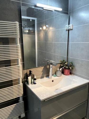 une salle de bain avec un lavabo et un miroir dans l'établissement Au Thalassa - 3min Plage - CLIM - TERRASSE - WIFI, à La Grande Motte