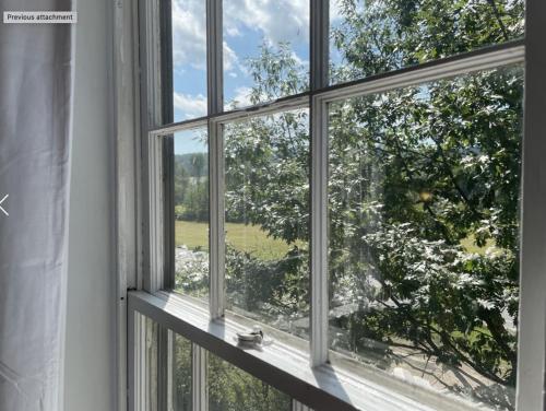 an open window with a view of a tree at Stone Hearth Inn and Eatery in Chester