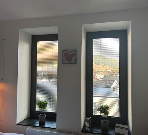 two windows in a room with two potted plants at Cardiff Arms Bistro & Hotel in Treorky