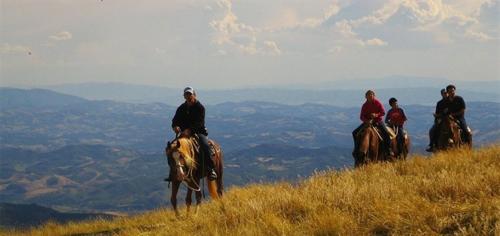 Villa Colticciola Agriturismo Marche في كاغلي: مجموعة من الناس يركبون الخيول على تلة