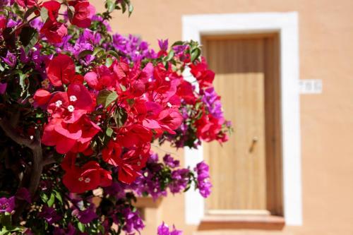 Φωτογραφία από το άλμπουμ του TH Costa Rei - Free Beach Resort σε Monte Nai