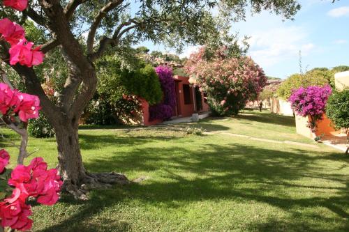 Φωτογραφία από το άλμπουμ του TH Costa Rei - Free Beach Resort σε Monte Nai
