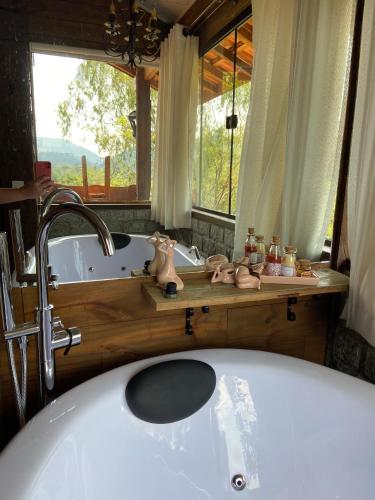 a bathroom with a bath tub and a sink at Cabana Violeta in Visconde De Maua