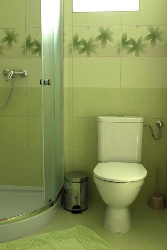 a bathroom with a toilet and a shower at Ubytování Pálavská Riviéra in Pavlov
