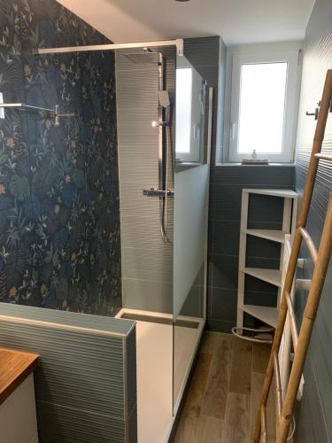 une douche avec une porte vitrée dans une salle de bain dans l'établissement Appartement centre-ville rénové 6/8 personnes, à Gérardmer