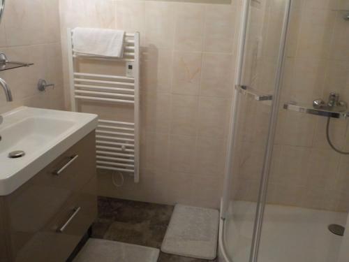 La salle de bains est pourvue d'une douche et d'un lavabo. dans l'établissement CHARMANT APPARTEMENT DANS MAISON DE CARACTERE, à Saint-Brice-sur-Vienne
