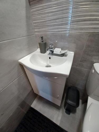 a bathroom with a white sink and a toilet at Aquas AP in Petrijanec