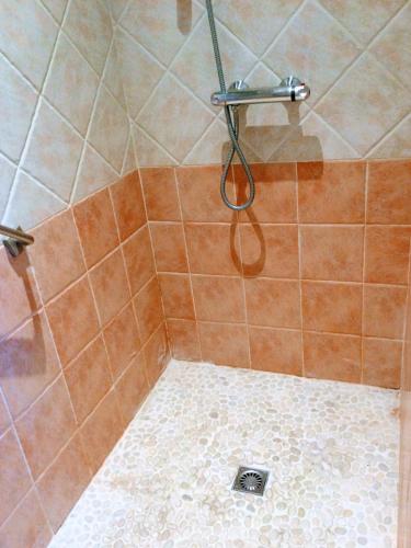 a shower with a hose in a bathroom at le vieux pont in Carpentras