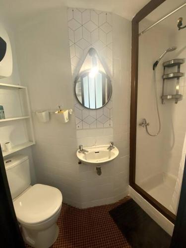 a bathroom with a toilet and a sink and a mirror at Studio en plein centre historique de perpignan in Perpignan