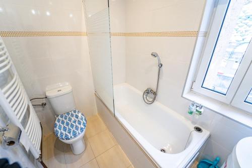 a bathroom with a toilet and a bath tub at Tuan Long Apartments in Jáchymov