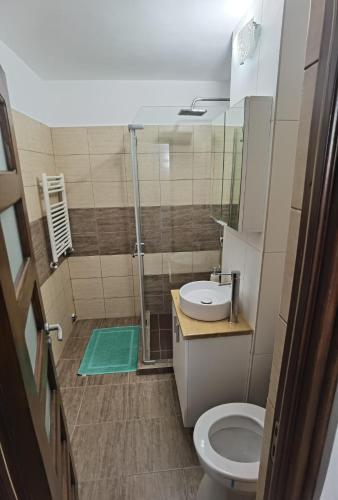 a bathroom with a shower and a toilet and a sink at Apartament - central in Târgu Jiu