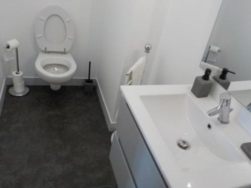 a white bathroom with a toilet and a sink at CHARMANT APPARTEMENT DANS MAISON DE CARACTERE in Saint-Brice-sur-Vienne