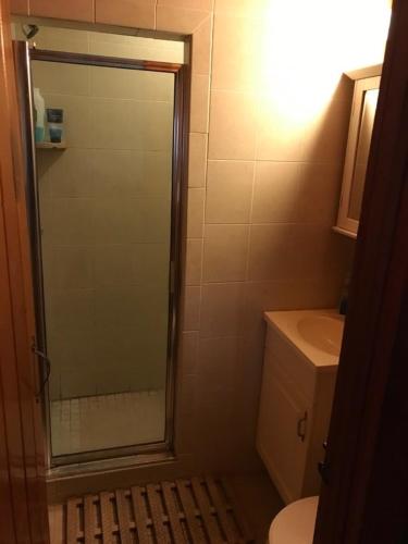 a bathroom with a shower with a toilet and a sink at Calico Jack's Galley cottage in Kitty Hawk