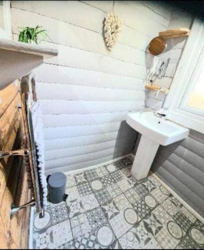 a bathroom with a sink and a toilet at Grouse Lodge in Dunoon