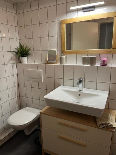 a bathroom with a sink and a toilet and a mirror at Ferienwohnung im idyllischen Gulfhof in Krummhörn