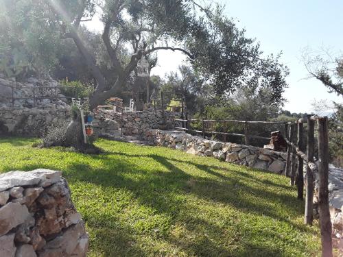natura mediterranea – Photos 4