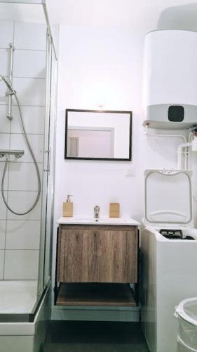 une salle de bain avec une douche, un lavabo et un miroir dans l'établissement Le Cosy Central Moderne et Chaleureux, à Saint-Étienne