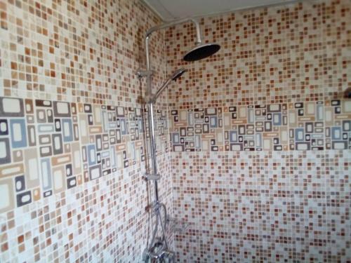 eine Dusche im Bad mit einer gefliesten Wand in der Unterkunft Lovely 1-Bed duplex house in Abidjan