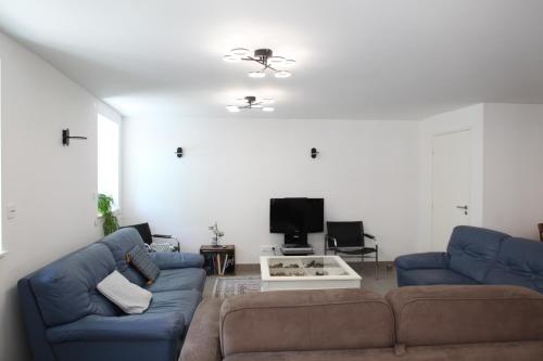 a living room with two blue couches and a tv at Gîte LES ARMINAUX in Remilly-les-Pothées