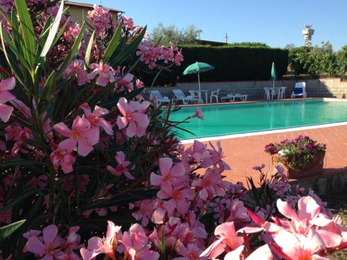 a bunch of flowers in front of a swimming pool at Agriturismo Le Ginestruzze in Montespertoli