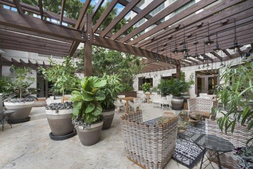 Ritz Carlton Coconut Grove Waterview 2 BR Apt apts في ميامي: فناء مع مجموعة من النباتات الفخارية وبيرغولا