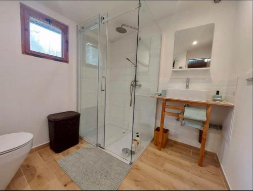 y baño con ducha, aseo y lavamanos. en Charming cottage KLARA with Sauna, Nature&Privacy near Prague, en Malé Kyšice