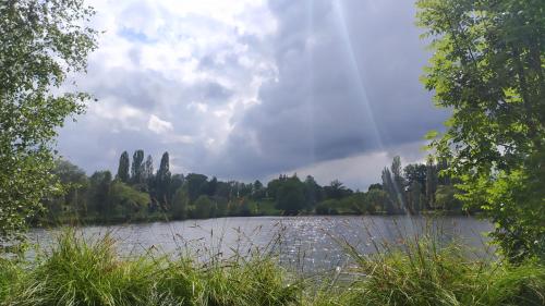 a large lake with trees and clouds in the sky at La Maison du Lac in Flavignac