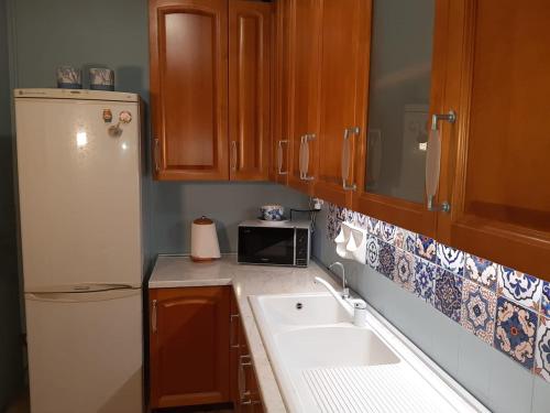 テルミニ・イメレーゼにあるIl moro di Sicilia apartmentのキッチン(白い冷蔵庫、シンク付)