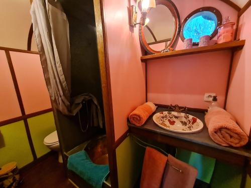 a small bathroom with a sink and a mirror at Roulotte d'Aquitaine in Saint-Sulpice-de-Faleyrens