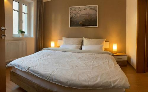1 dormitorio con 1 cama grande y 2 lámparas en FeWo "Biela", gemütlich, zentral, ruhig, Terrasse, Sandstein-Ferien, Familienfreundl en Königstein an der Elbe