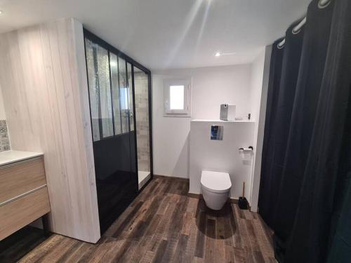 une salle de bain avec toilettes et douche en verre dans l'établissement Studio de 35 m2, à Parentis-en-Born