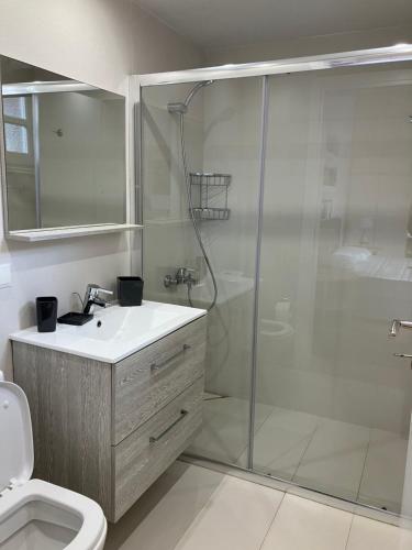 a bathroom with a shower and a sink and a toilet at Mediterranean house with beautiful garden in Karlovasi