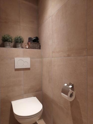 een badkamer met een toilet en een toiletpapierdispenser bij Secret Wellness Boszicht in Holten