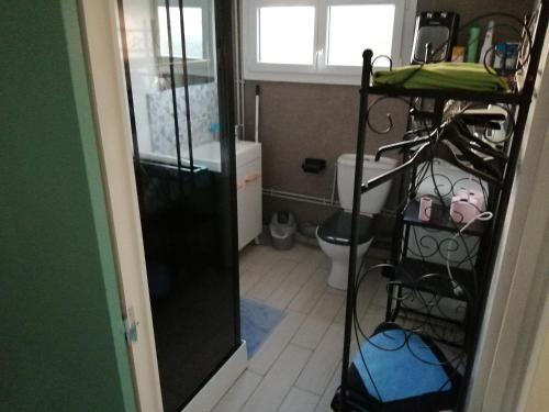 Elle comprend une petite salle de bains pourvue de toilettes et d'une étagère. dans l'établissement Studio Les oiseaux, à Saint-Georges-sur-Baulche