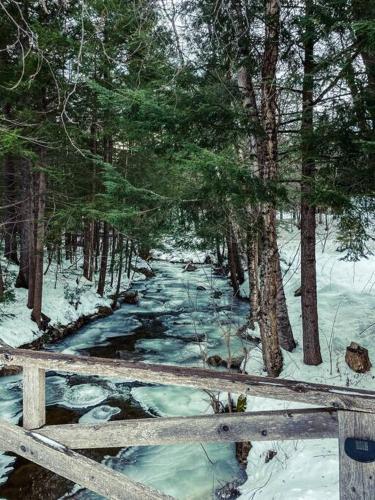 a wooden bridge over a stream in a snow covered forest at The Brookside Lodge & Cottage in Dover