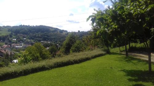 a field of green grass with trees in the background at Villa FRIDA in Rogaška Slatina