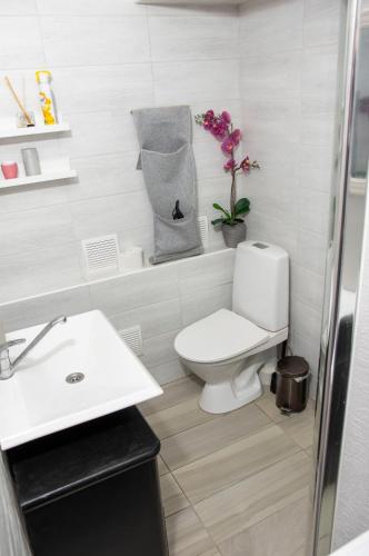 Bilik mandi di Riia maantee Apartement
