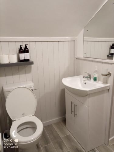 a white bathroom with a toilet and a sink at 1844 Seascape Cottage in Fanore