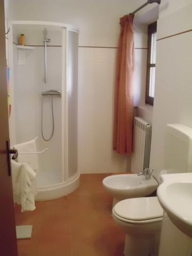 a bathroom with a shower and a toilet and a sink at Agriturismo Cà Rossano in Licciana Nardi