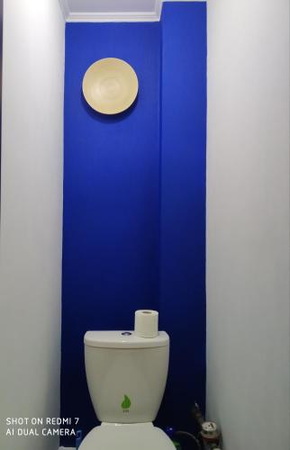 a blue bathroom with a toilet with a blue wall at Elena in Rivne