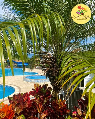 a palm tree in front of a swimming pool at Apartasol Villa Sofia, Reserva de la Colina, La Tebaida, Quindio in La Tebaida
