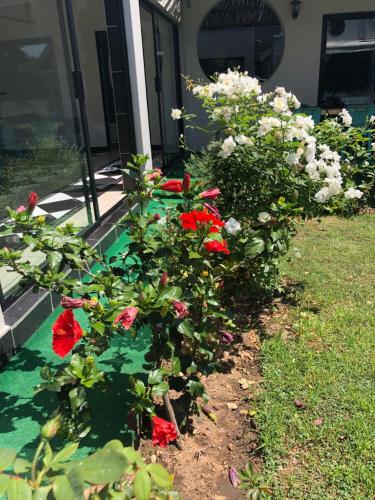 Jardín al aire libre en Muco Guest House