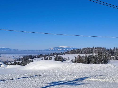 a snow covered slope with a mountain in the background at Willa u Skrajnioka in Czerwienne