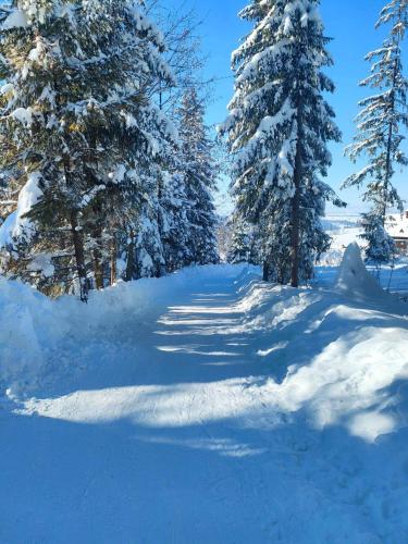 a snow covered path in a forest with snow covered trees at Willa u Skrajnioka in Czerwienne